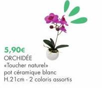 5,90€  ORCHIDÉE «Toucher naturel >> pot céramique blanc H.21cm - 2 coloris assortis 