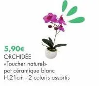 5,90€  orchidée «toucher naturel >> pot céramique blanc h.21cm - 2 coloris assortis 