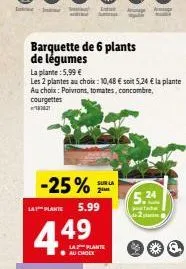 inte  -25% sulla la plante 5.99  4.49  barquette de 6 plants  de légumes  la plante: 5,99 €  les 2 plantes au choix: 10,48 € soit 5,24 € la plante au choix: poivrons, tomates, concombre, courgettes  2