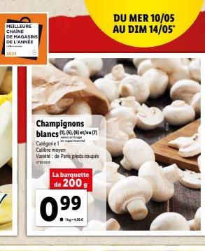 champignons Dim