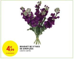 4.99  LE BOUGUET  BOUQUET DE 5 TIGES DE GIROFLEES coloris variés 