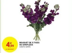 4.99  le bouguet  bouquet de 5 tiges de giroflees coloris variés 