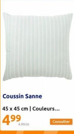 Coussin Sanne  45 x 45 cm | Couleurs...  4.⁹⁹  4.99/st  Consulter 