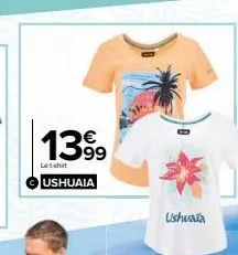 1399  le-shirt  ushuaia  ushuaia 