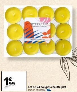 €  Le lot  S  CITRONNELLE  Lot de 24 bougies chauffe-plat  Parfum citronnelle 