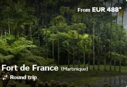 From EUR 488*  Fort de France (Martinique) Round trip 