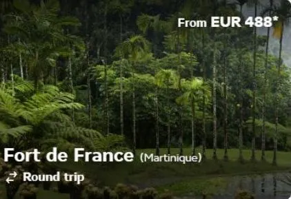 from eur 488*  fort de france (martinique) round trip 