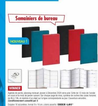 Semainiers de bureau  NOUVEAU !  WINNER  Agenda de poche, planning mensuel Jamier à Décembre 2024 extra-plat Grile de 12 mois de l'année en cours et le mois de janvier suivant. Sur chaque page de mois