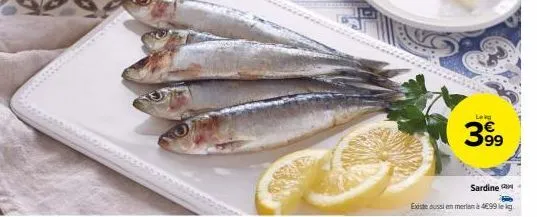 leg  399  sardine -  existe aussi en merian à 499 lekg 