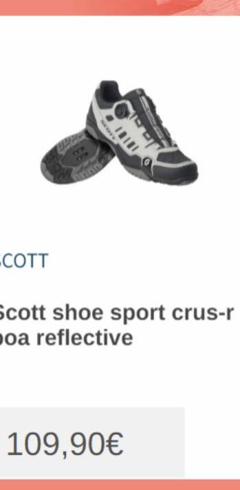 sport Scott