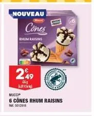 nouveau  249  cn 14.00 cle  rhum raisins  cones  mucci  6 cônes rhum raisins  pr. 5012818 