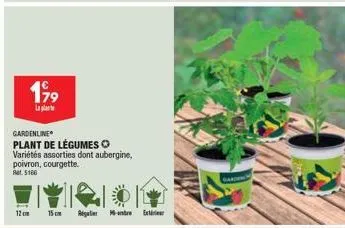 199  la plat  gardenline  plant de légumes o  variétés assorties dont aubergine, poivron, courgette.  ret. 5166  12cm 15cm regulier ex 