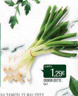 LA BOTTE  DIGNON BOTTE Cat.1  1,29€ 