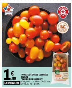 tomates 