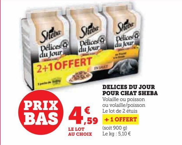 DELICES DU JOUR POUR CHAT SHEBA