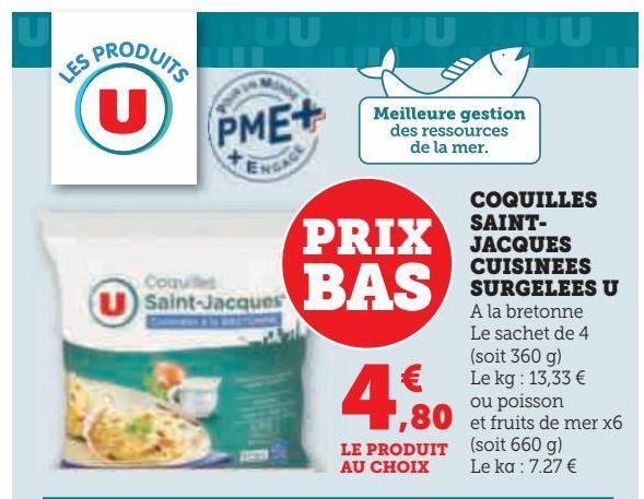 COQUILLES  SAINT- JACQUES  CUISINEES SURGELEES U