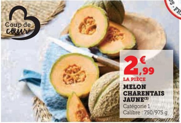 MELON CHARENTAIS JAUNE