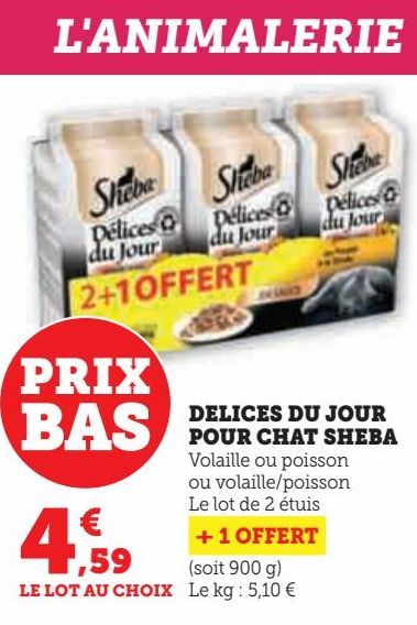 DELICES DU JOUR  POUR CHAT SHEBA