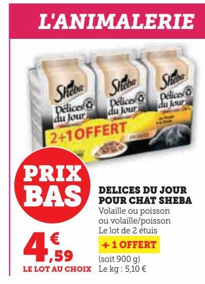 DELICES DU JOUR POUR CHAT SHEBA