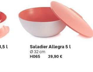 saladier 