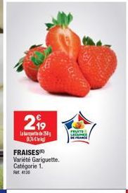 fraises 