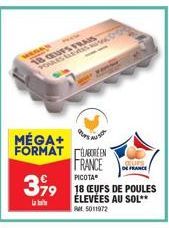 WEDAN  18 CEUFS FRAIS POULES GLENES  MÉGA+  FORMAT BORÉEN  FRANCE  CUPS DE FRANCE  379 18 CEUFS DE POULES  la  ÉLEVÉES AU SOL** RM 5011972 