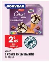 NOUVEAU  249  CN 14.00 Cle  RHUM RAISINS  Cones  MUCCI  6 CÔNES RHUM RAISINS  Pr. 5012818 