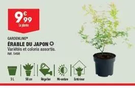 999  la plat  gardenline  érable du japon o variétés et coloris assortis.  rm 5498  31  50cm  reg montre eur 