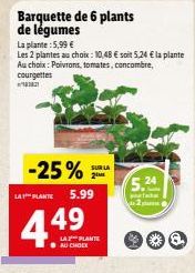 -25% SULLA LA PLANTE 5.99  4.49  Barquette de 6 plants  de légumes  La plante: 5,99 €  Les 2 plantes au choix: 10,48 € soit 5,24 € la plante Au choix: Poivrons, tomates, concombre, courgettes  201  LA