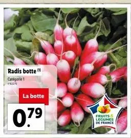 radis botte catégorie 1  w82275  la botte  07⁹  79  fruits & legumes de france 