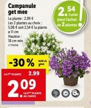 plantes Lay's