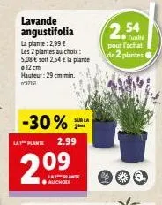 lavande angustifolia  la plante: 2,99 € les 2 plantes au choix: 5,08 € soit 2,54 € la plante 12 cm hauteur: 29 cm min.  -30%  la plante 2.99  2.09  la plante au chole  sur la  2.54  pour l'achat de 2 