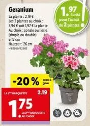geranium la plante: 2,19 €  les 2 plantes au choix: 3,94 € soit 1,97 € la plante au choix: zonale ou lieme (simple ou double) 12 cm hauteur: 26 cm  -20% l  sur la  la barquette 2.19  175  au choix  la