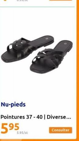 Nu-pieds  Pointures 37-40 | Diverse...  5.95  5.95/st  Consulter 