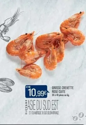 lekg  grosse crevette rose cuite 30 à 40 pièces au kg.  10,99€ asie du sud est  et/quamérique du sud selon aprivage 