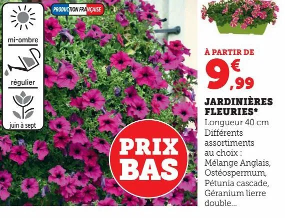 jardinières fleuries