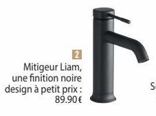 Mitigeur Liam, une finition noire design à petit prix: 89.90€ 