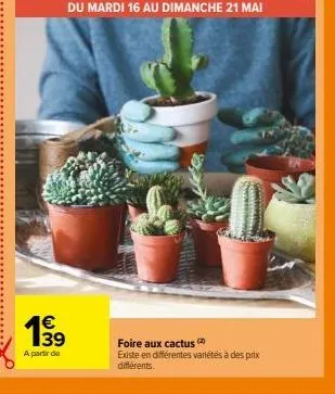 139  €  a partir de  du mardi 16 au dimanche 21 mai  foire aux cactus (2)  existe en différentes variétés à des prix différents. 
