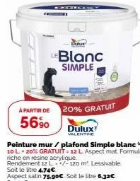 dux  leblanc simple  dulux  valentine  à partir de 20% gratuit  5690 