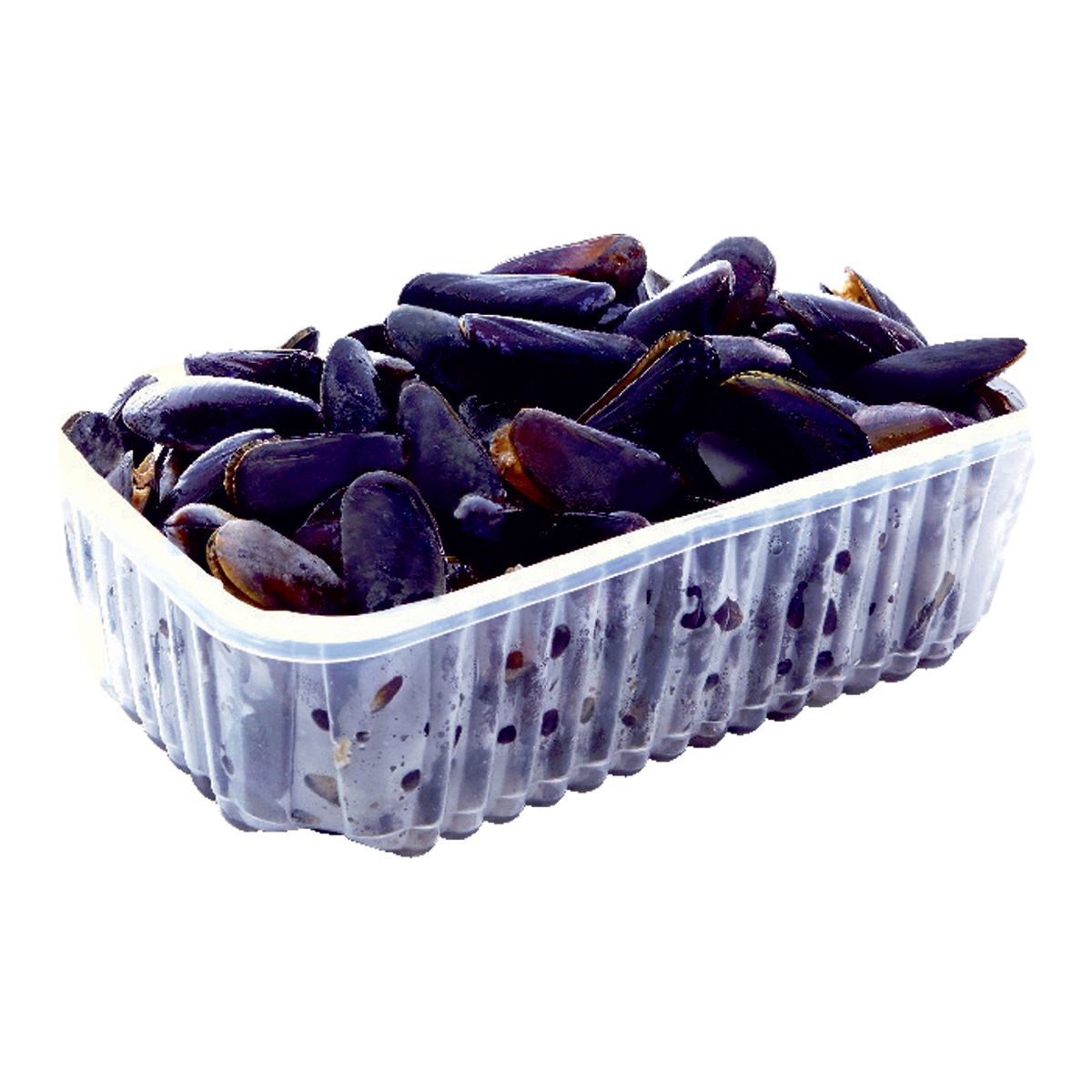 MOULES DE CORDE