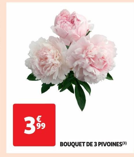 BOUQUET DE 3 PIVOINES(3)