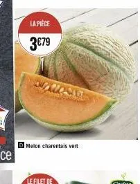 melon 