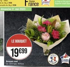 le bouquet  19€99  bouquet rond les 19/20 tiges, 40/45cm  rance  tomates de france  pau  france  fleurs de france 