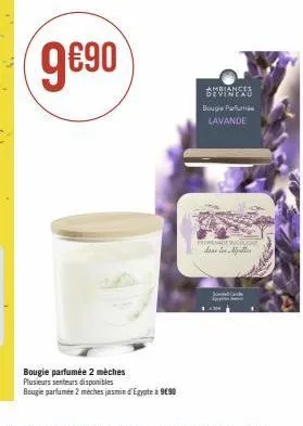 bougie parfumée 2 mèches  plusieurs senteurs disponibles  bougie parfumée 2 meches jasmin d'egypte à 990  ambiances  devineau bougie p lavande  promenade colis  sa sp 