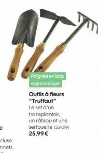 Poignée en bois ergonomique  Outils à fleurs  "Truffaut" Le set d'un  transplantoir,  un râteau et une serfouette (567019) 25,99 € 