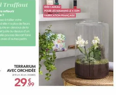 terrarium avec orchidée  19xh.30 cm. (1053831)  29.99  idée cadeau  pour les mamans le 4 juin fabrication française 