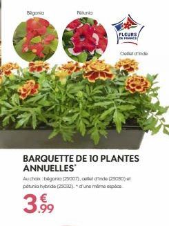 Begonia  Petunia  FLEURS DE FRAMES  BARQUETTE DE 10 PLANTES ANNUELLES  Coletinde  Au choix:bégonia (25007), collet d'Inde (25030) at petunia hybride (25032).* d'une même espèce  3.99 