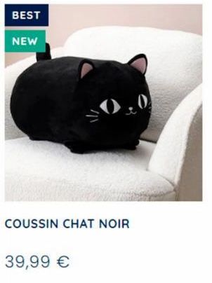 BEST  NEW  COUSSIN CHAT NOIR  39,99 € 