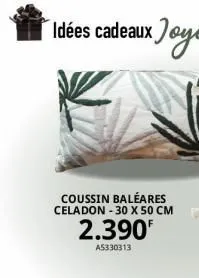 coussin baleares celadon - 30 x 50 cm  2.390  a5330313 