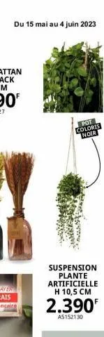 du 15 mai au 4 juin 2023  pot  coloris noir  www  suspension plante artificielle h 10,5 cm 
